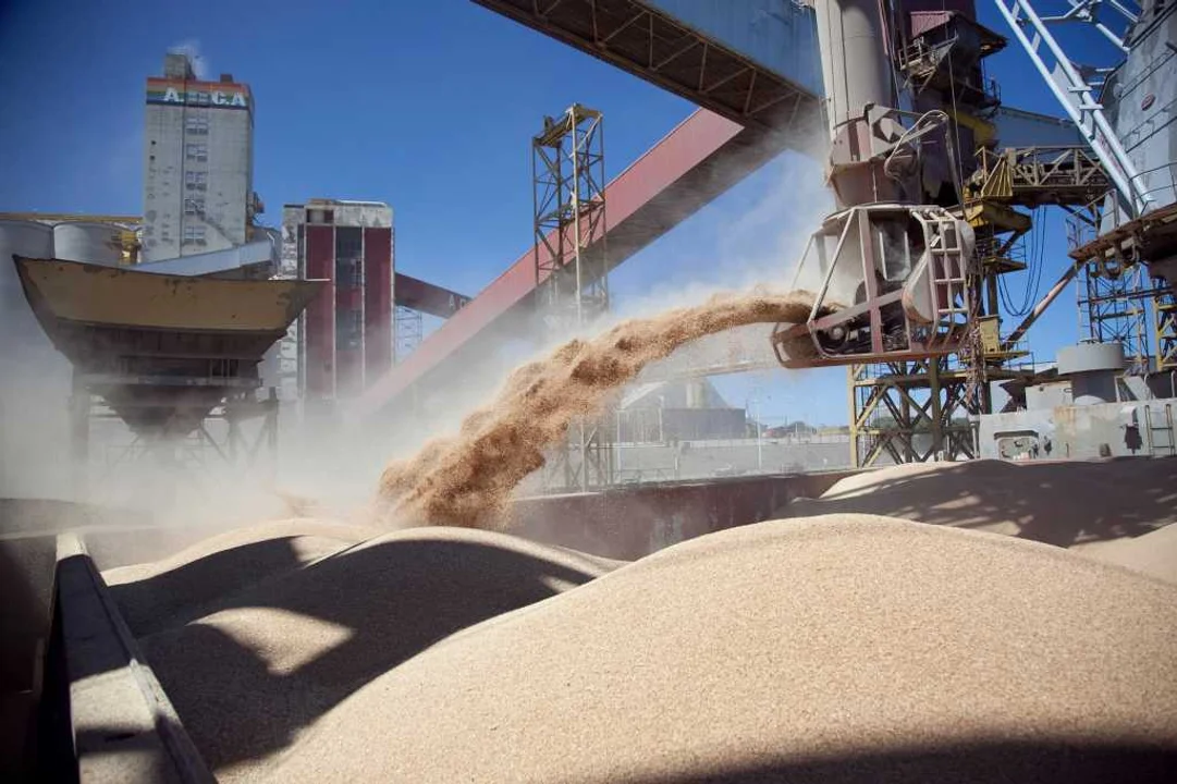 Boom del agro: la baja de retenciones disparó la liquidación de granos en junio
