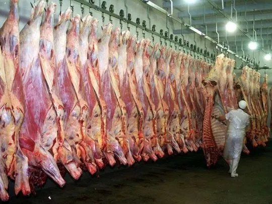 EEUU confirma que comprará poca carne argentina y alerta por la fiebre aftosa