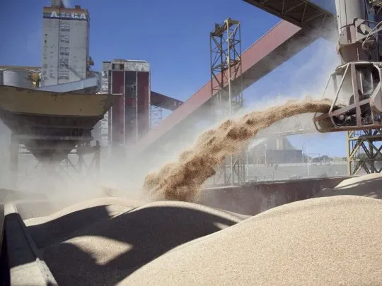 Exportaciones récord para el campo, que registró un crecimiento exponencial de su producción en 2025