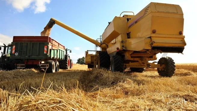 El precio de los alimentos en el mundo subió 2,4% en marzo: la oferta de cereales amortiguó el impacto de la guerra
