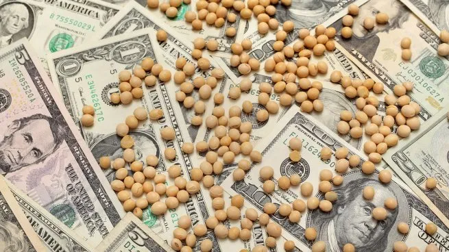 El agro pierde peso en las exportaciones: marcan posibles impactos en impuestos, producción y poder político