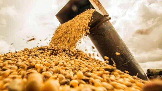 Exportaciones crecen, pero Argentina se primariza cada vez más: «Con los recursos naturales no alcanza», alertan empresarios
